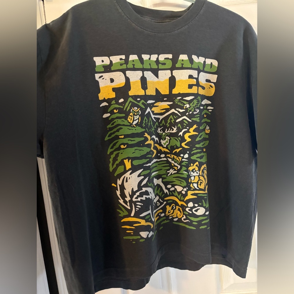Iconic Arizona Peaks and Pines charcoal T-Shirt